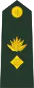 Bangladesh Army(Lieutenant Colonel)