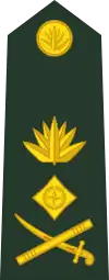 Lieutenant generalলেফটেন্যান্ট জেনারেল(Bangladesh Army)