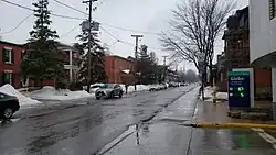 A residential avenue near Bank Street in the Glebe