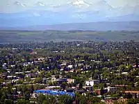 Neighbourhood of Bankview, with Rocky Mountains in the background