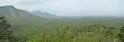 Bannari plains seen from Dhimbam slopes