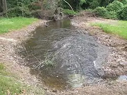 Swale with a flowing stream