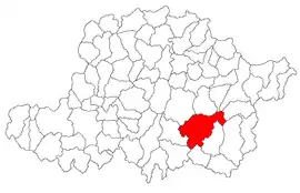 Location in Arad County