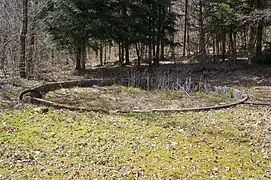 Un bassin bétonné rempli de végétation d'où sort un tuyau.