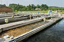 Freshwater fish farm