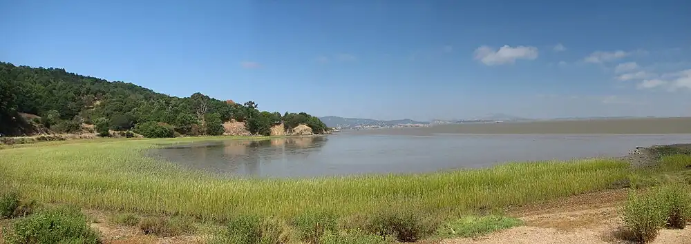 Bay view from China Camp State Park