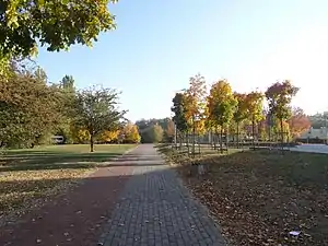 View of an alley