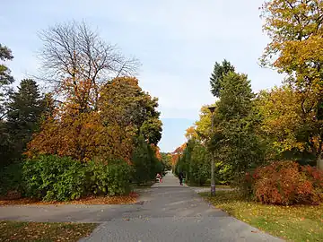 View of a walkway