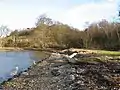 The beach at Abercorn