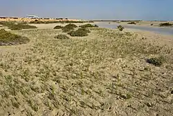 A view of Fuwayrit's beach