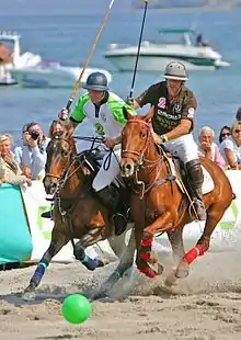 Beach polo is a team sport and close variant of arena polo.