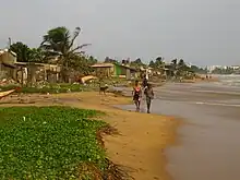 Houses beside sea