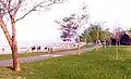 The Beaches in 1984. The boardwalk and the Martin Goodman Trail are seen.