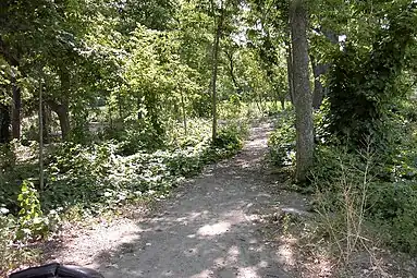 South eastern portion of Cedar Lake East Beach in August 2005.