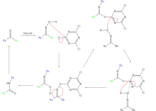 Beckmann cyanuric acid cataly cycle