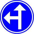 D3: Requirement to follow the direction indicated by the arrow – straight or left