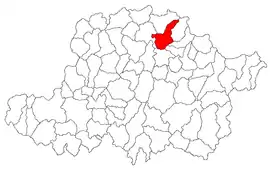 Location in Arad County