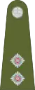 Lieutenant