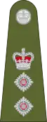 Colonel