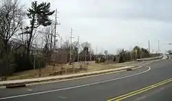 Looking north along Trent Avenue