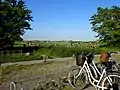 Bicycle parking at the park area