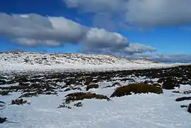 Ben Lomond snowfields