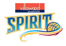 Bendigo Spirit logo