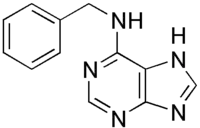 Skeletal formula of 6-benzylaminopurine