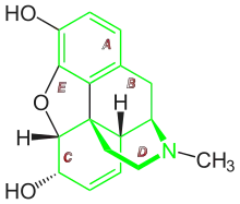 Morphine (two additional ring closures)