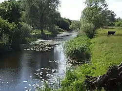 Beržtalis River near Žeimelis