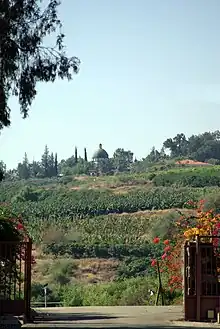 Seen from Capernaum