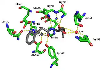 Crystal structure of ubenimex