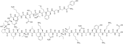 Chemical structure of beta-endorphin.