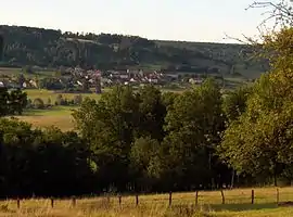 A general view of Betoncourt-sur-Mance