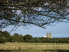 A pasture in the East Riding of Yorkshire in England