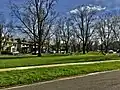 'Christine Buisman', Bidwell Parkway, Buffalo, New York (May, 2020)
