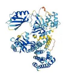 Predicted structure of bifunctional pppGpp synthase hydrolase SpoT.