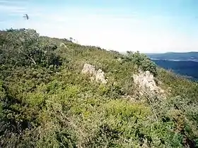 summit of Big Badja Hill, Deua National Park