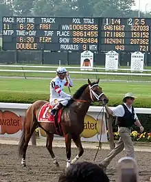 A three-year-old colt at a racetrack