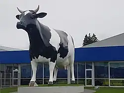 Big Cow