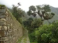 Large terraces