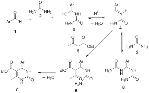 Biginelli reaction mechanism