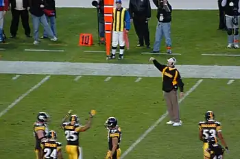 Bill Cowher challenges a call on the field