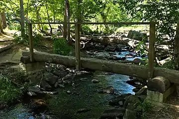 Log bridge at Marker 3