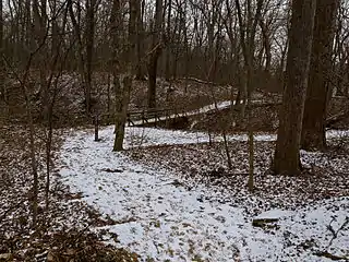 Billy Goat C trail, near the midpoint