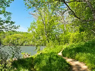 View of Potomac River from C trail