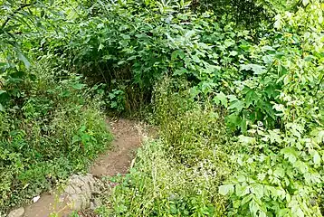 Another view of tricky spot. In summer the vegetation can get pretty high.