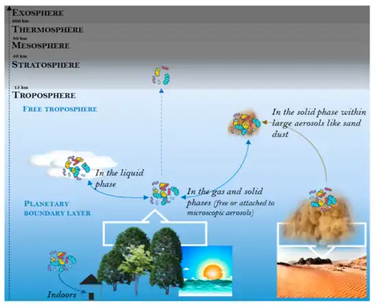 Biological habitats (niches) in aeromicrobiology 