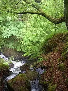 The Birks of Aberfeldy