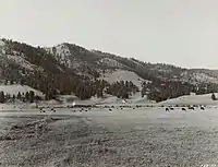 French basin near Sula, 1939